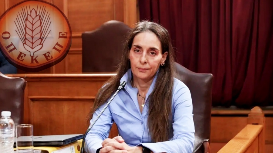 Απανωτές «βόμβες» Τυχεροπούλου: Συγκάλυψη, κύκλωμα και εκφοβισμός ελεγκτών – Το μεγαλύτερο σκάνδαλο μέσα στον ΟΠΕΚΕΠΕ