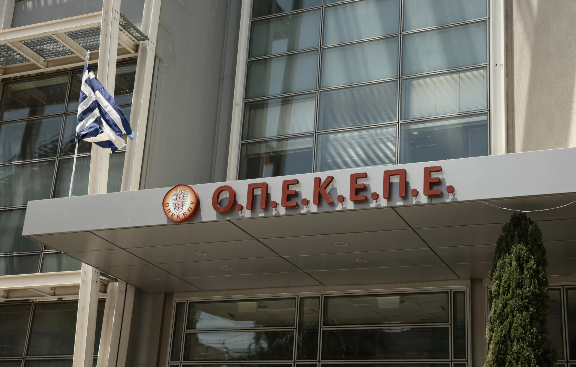 Το κράτος συνεχίζει να εκδικείται την Παρασκευή Τυχεροπούλου – για «συγκάλυψη στο σκάνδαλο ΟΠΕΚΕΠΕ» μιλά ο δικηγόρος της