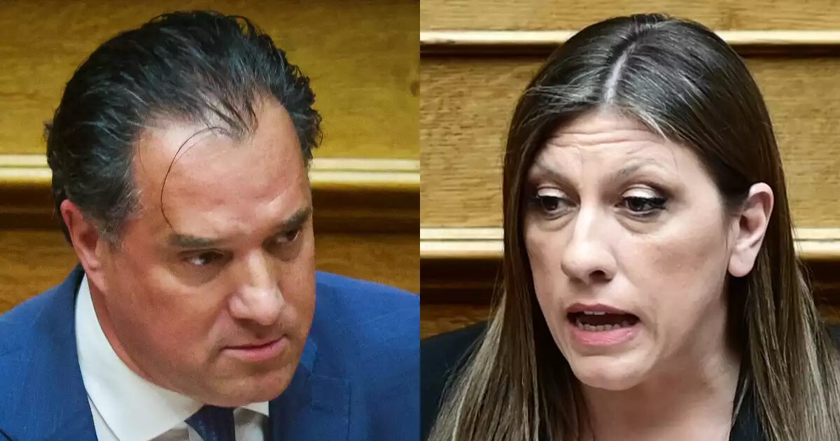 Ο Άδωνις Γεωργιάδης για νέα καταγγελία πρώην συνεργάτη της Ζωής Κωνσταντοπούλου: «Στοχοποίηση και απλήρωτη εργασία»