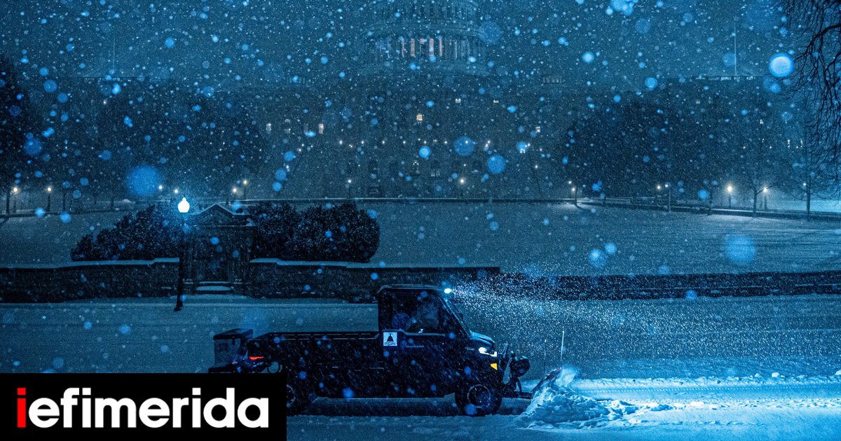 Χιονοθύελλα «παγώνει» τις ΗΠΑ: Xάος στις μεταφορές, πολικές θερμοκρασίες στη Φλόριντα ρίχνουν ιγκουάνα από τα δέντρα