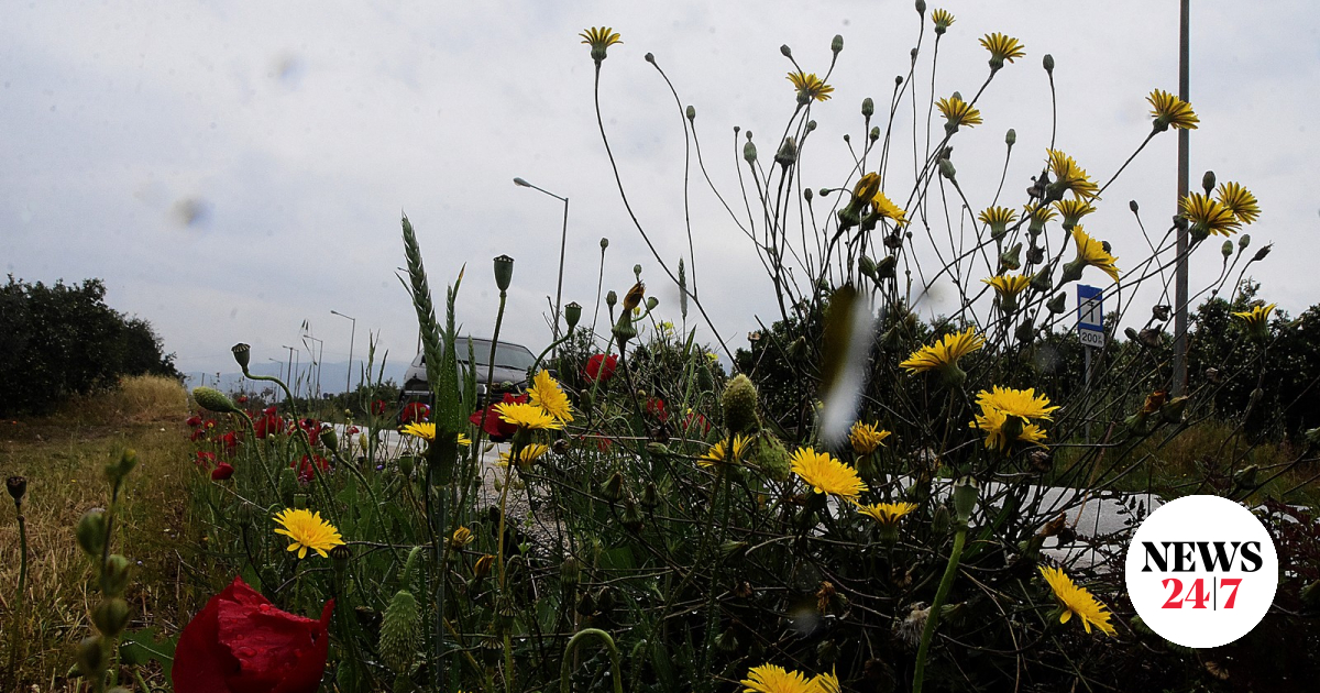 Ηλιόλουστη η Μ. Δευτέρα – Ο καιρός μέχρι το Πάσχα