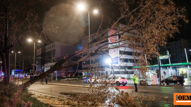 Δύσκολη νύχτα λόγω της κακοκαιρίας Erminio: Πτώσεις δέντρων και διακοπές ρεύματος στην Αττική, πλημμύρες στον Πόρο, δείτε βίντεο