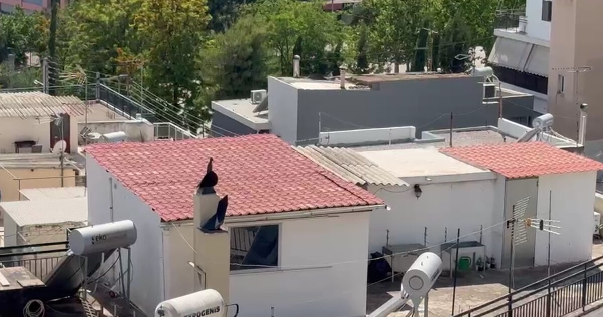 Περιστέρι: Τρεις καταγγελίες για τα παιδιά που ζούσαν στο σπίτι τρώγλη – Είχε αφαιρεθεί η επιμέλεια από τους γονείς
