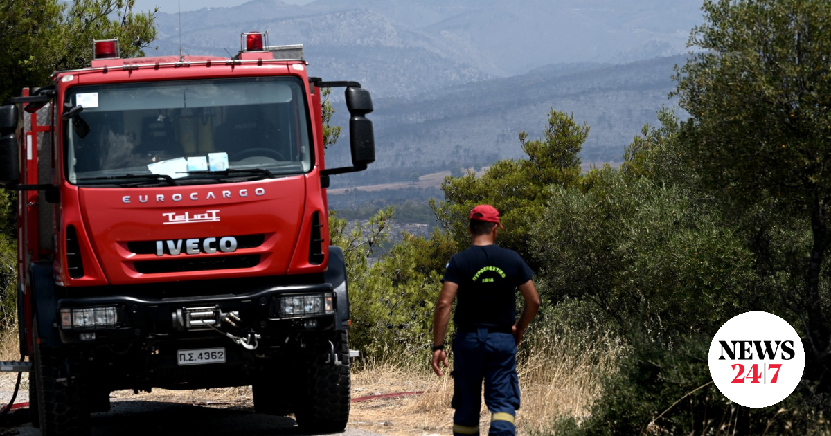 Φωτιά στα Καλύβια: Καίει χαμηλή βλάστηση – Μεγάλη κινητοποίηση της Πυροσβεστικής