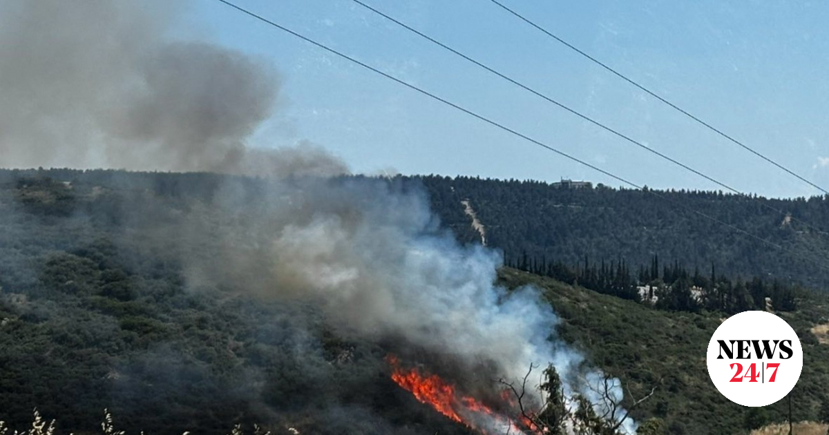 Θεσσαλονίκη: Φωτιά στο Φίλυρο – Ήχησε το 112, στη μάχη και ενάερια μέσα