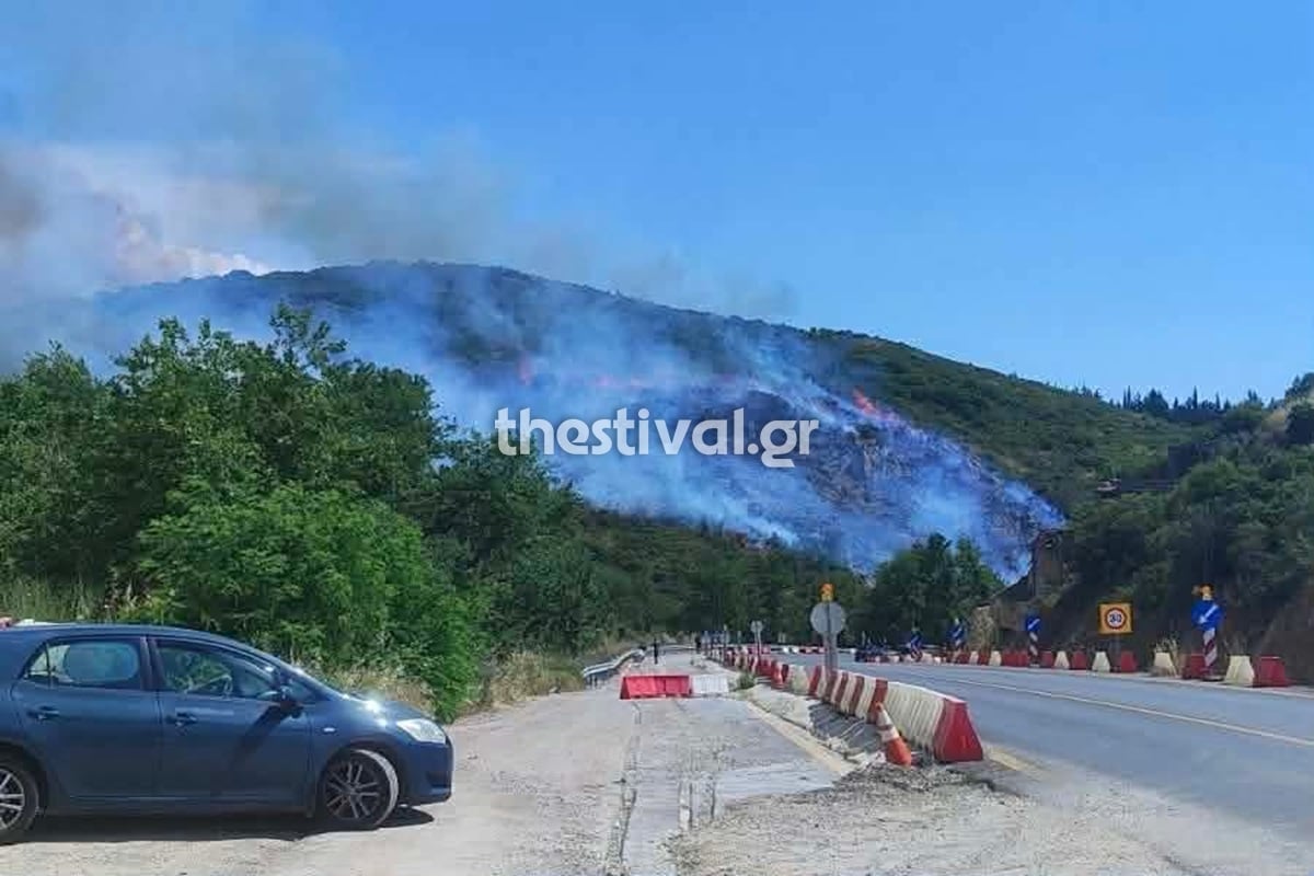 Θεσσαλονίκη: Τρεις συλλήψεις για την πυρκαγιά ανάμεσα στα Πεύκα και το Φίλυρο