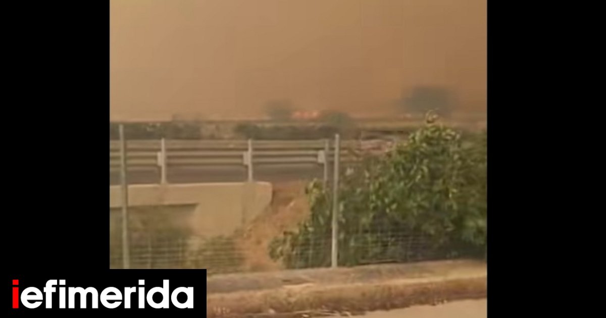 Έκλεισε η Αθηνών-Λαμίας εξαιτίας της μεγάλης φωτιάς στο Ακραίφνιο -Όλες οι εξελίξεις