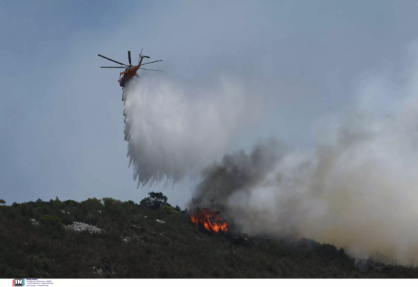 Μεγάλη φωτιά στη Ροδόπη – Επιχειρούν εναέρια μέσα