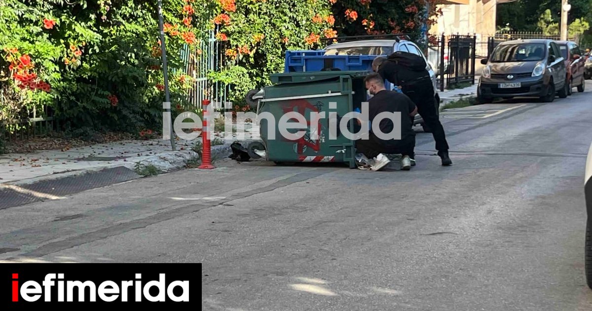 Καλλιθέα: Σε κάδους της περιοχής ψάχνουν το μαχαίρι του άγριου φονικού [εικόνες]