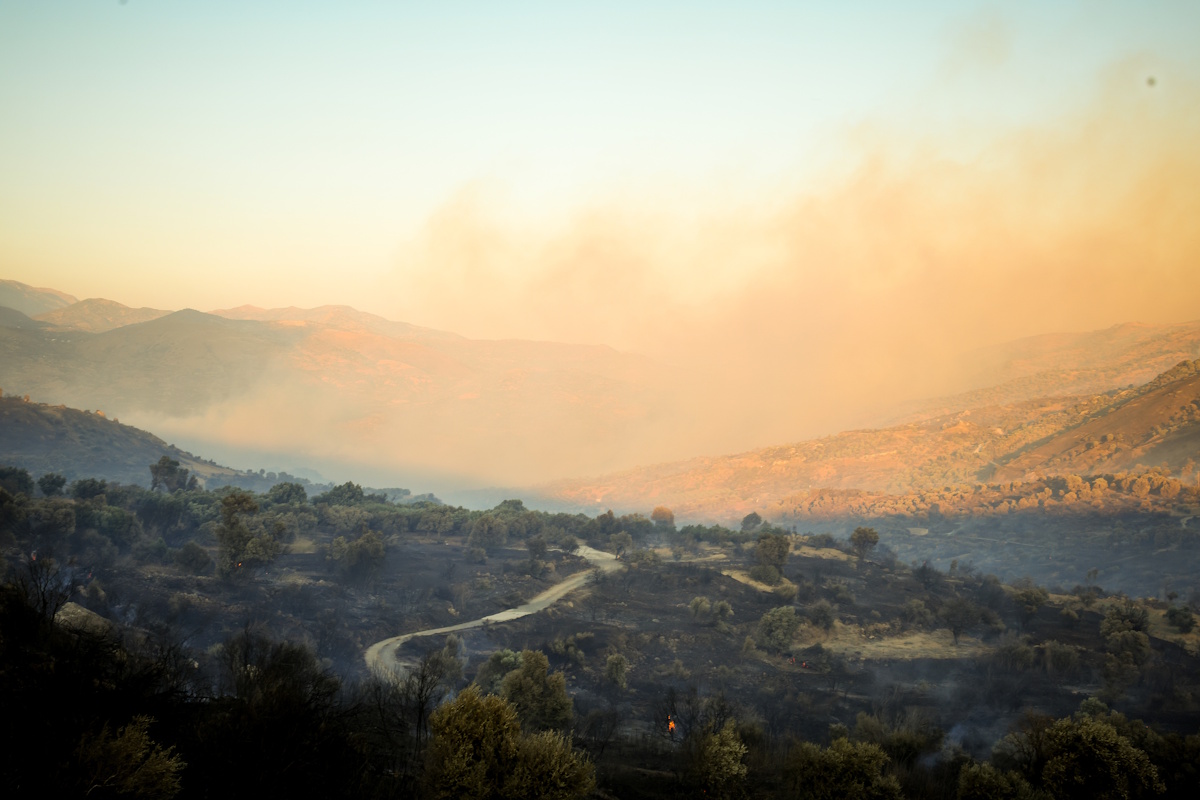 &Omicron; &kappa;&alpha;&pi;&nu;ό&sigmaf; &alpha;&pi;ό &tau;&iota;&sigmaf; &mu;&epsilon;&gamma;ά&lambda;&epsilon;&sigmaf; &pi;&upsilon;&rho;&kappa;&alpha;&gamma;&iota;έ&sigmaf; &kappa;&alpha;&iota; &tau;&iota; &delta;&epsilon;ί&chi;&nu;&omicron;&upsilon;&nu; &omicron;&iota; &delta;&omicron;&rho;&upsilon;&phi;&omicron;&rho;&iota;&kappa;έ&sigmaf; &pi;&alpha;&rho;&alpha;&tau;&eta;&rho;ή&sigma;&epsilon;&iota;&sigmaf; – &Pi;&omicron;&iota;&epsilon;&sigmaf; &pi;&epsilon;&rho;&iota;&omicron;&chi;έ&sigmaf; &theta;&alpha; &epsilon;&pi;&eta;&rho;&epsilon;&alpha;&sigma;&tau;&omicron;ύ&nu;