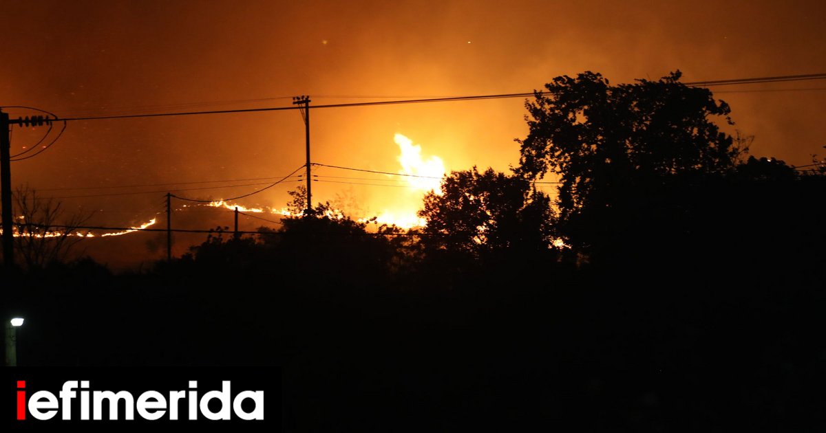 Δήμαρχος Ωραιοκάστρου: Η φωτιά είναι σε ακτίνα ενός χιλιόμετρου από την πυρκαγιά που στοίχισε τη ζωή σε έναν άνδρα και σε ένα παιδί