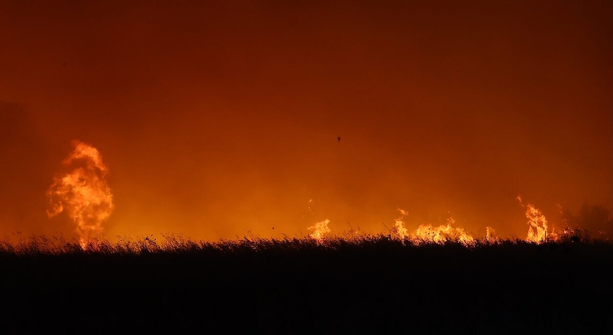 Φωτιές σε όλη τη χώρα / 60 εστίες μέσα σε ένα 24ωρο – Ταυτόχρονα 16 μέτωπα στην Κεντρική Μακεδονία