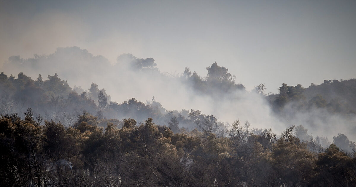 Η φωτιά στην Οινόη «δημιούργησε» τον δικό της καιρό – Το φαινόμενο που ανησύχησε τους ειδικούς