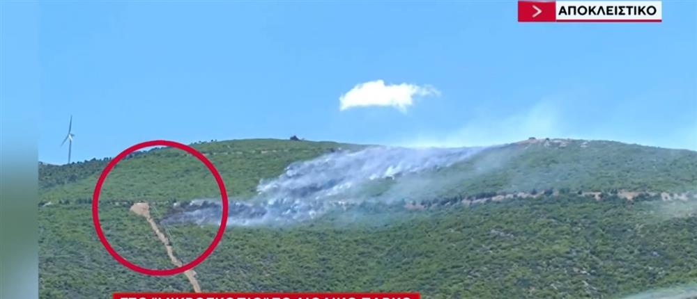 &Alpha;&pi;&omicron;&kappa;&lambda;&epsilon;&iota;&sigma;&tau;&iota;&kappa;ό &Alpha;&Nu;&Tau;1: &Pi;&rho;&omicron;&sigmaf; &sigma;&phi;&rho;ά&gamma;&iota;&sigma;&eta; &tau;&omicron; &alpha;&iota;&omicron;&lambda;&iota;&kappa;ό &pi;ά&rho;&kappa;&omicron; – &Sigma;&upsilon;&nu;&epsilon;&chi;&epsilon;ί&sigmaf; &beta;&lambda;ά&beta;&epsilon;&sigmaf; &pi;&rho;&iota;&nu; &alpha;&pi;ό &tau;&eta; &mu;&epsilon;&gamma;ά&lambda;&eta; &phi;&omega;&tau;&iota;ά