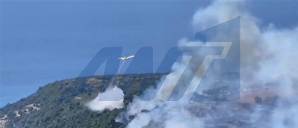 &Kappa;&epsilon;&phi;&alpha;&lambda;&omicron;&nu;&iota;ά: &Sigma;&upsilon;&nu;&epsilon;&lambda;ή&phi;&theta;&eta; 44&chi;&rho;&omicron;&nu;&omicron;&sigmaf; &gamma;&iota;&alpha; &epsilon;&mu;&pi;&rho;&eta;&sigma;&mu;ό &alpha;&pi;ό &pi;&rho;ό&theta;&epsilon;&sigma;&eta; – &Epsilon;ί&chi;&epsilon; &kappa;&alpha;&tau;&alpha;&delta;&iota;&kappa;&alpha;&sigma;&tau;&epsilon;ί &xi;&alpha;&nu;ά &sigma;&tau;&omicron; &pi;&alpha;&rho;&epsilon;&lambda;&theta;ό&nu;