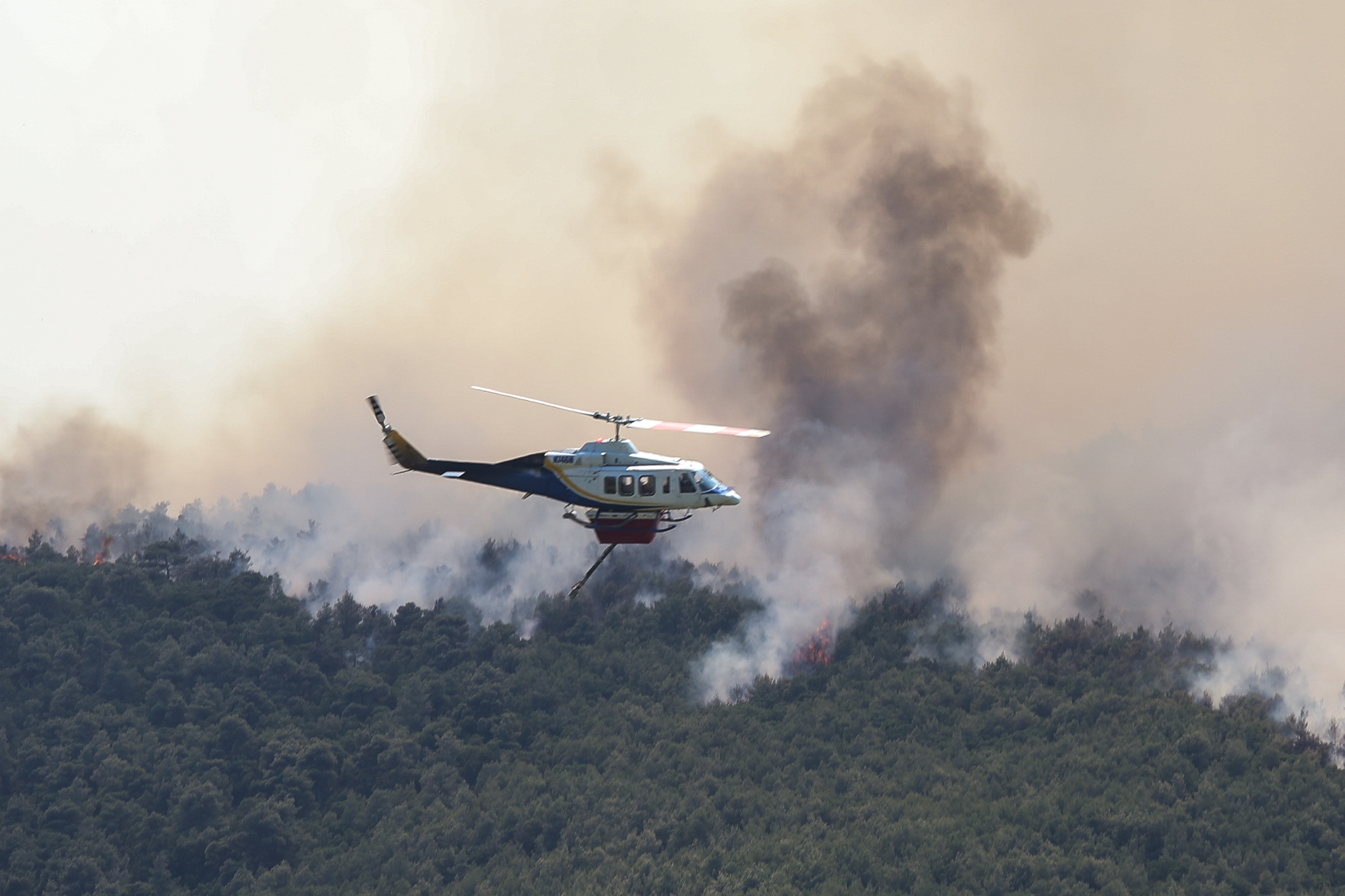 &Sigma;ύ&gamma;&kappa;&rho;&omicron;&upsilon;&sigma;&eta; &epsilon;&lambda;&iota;&kappa;&omicron;&pi;&tau;έ&rho;&omega;&nu; &sigma;&tau;&eta;&nu; &Psi;ά&theta;&alpha;: &Chi;&omega;&rho;ί&sigmaf; &epsilon;&nu;&delta;&epsilon;ί&xi;&epsilon;&iota;&sigmaf; &tau;&epsilon;&chi;&nu;&iota;&kappa;ή&sigmaf; &beta;&lambda;ά&beta;&eta;&sigmaf;, &sigma;ύ&mu;&phi;&omega;&nu;&alpha; &mu;&epsilon; &pi;&eta;&gamma;έ&sigmaf; &tau;&eta;&sigmaf; &epsilon;&tau;&alpha;&iota;&rho;&epsilon;ί&alpha;&sigmaf; &alpha;&pi;ό &tau;&eta;&nu; &omicron;&pi;&omicron;ί&alpha; &epsilon;ί&chi;&alpha;&nu; &mu;&iota;&sigma;&theta;&omega;&theta;&epsilon;ί