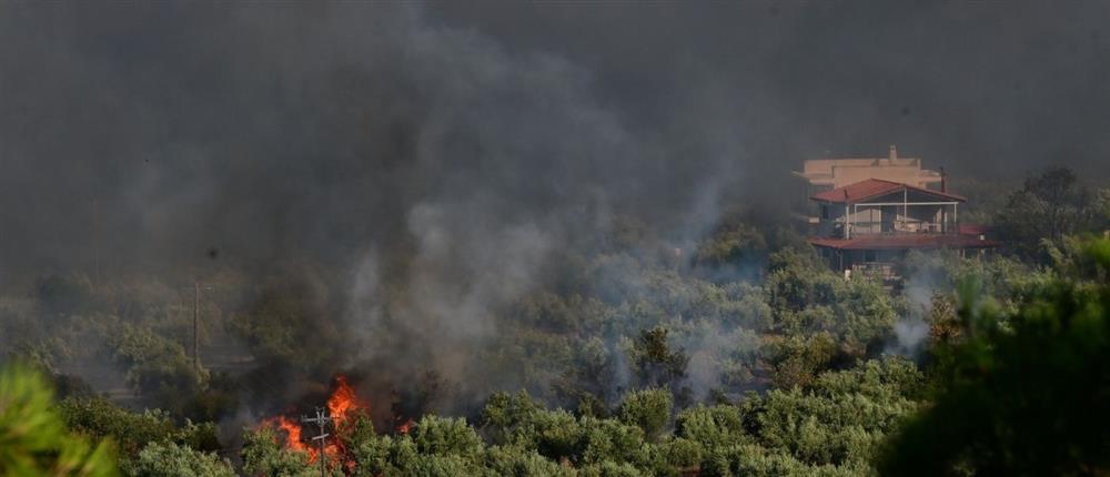 &Mu;ά&chi;&eta; &mu;&epsilon; &tau;&iota;&sigmaf; &phi;&lambda;ό&gamma;&epsilon;&sigmaf; &sigma;&tau;&eta; &Beta;&omicron;&iota;&omega;&tau;ί&alpha; – &Mu;&alpha;&zeta;&iota;&kappa;έ&sigmaf; &epsilon;&kappa;&kappa;&epsilon;&nu;ώ&sigma;&epsilon;&iota;&sigmaf; &omicron;&iota;&kappa;&iota;&sigma;&mu;ώ&nu; (LIVE ό&lambda;&epsilon;&sigmaf; &omicron;&iota; &epsilon;&xi;&epsilon;&lambda;ί&xi;&epsilon;&iota;&sigmaf;)
