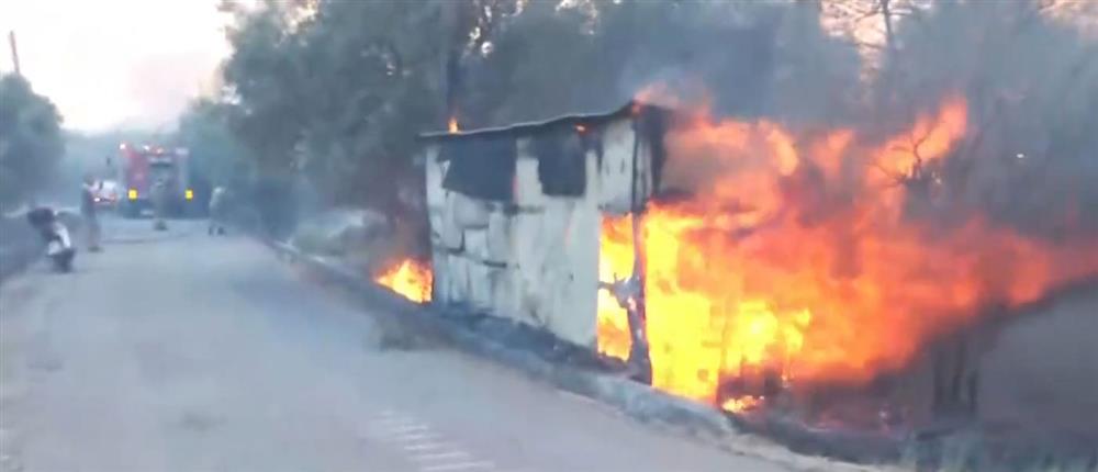 &Pi;&upsilon;&rho;&kappa;&alpha;&gamma;&iota;ά &sigma;&tau;&omicron; &Sigma;&kappa;ά&lambda;&omega;&mu;&alpha; &Phi;ώ&kappa;&iota;&delta;&alpha;&sigmaf;: &Mu;&pi;&alpha;&rho;ά&zeta; &tau;&omicron;&upsilon; 112 &gamma;&iota;&alpha; &epsilon;&kappa;&kappa;&epsilon;&nu;ώ&sigma;&epsilon;&iota;&sigmaf; &pi;&epsilon;&rho;&iota;&omicron;&chi;ώ&nu;