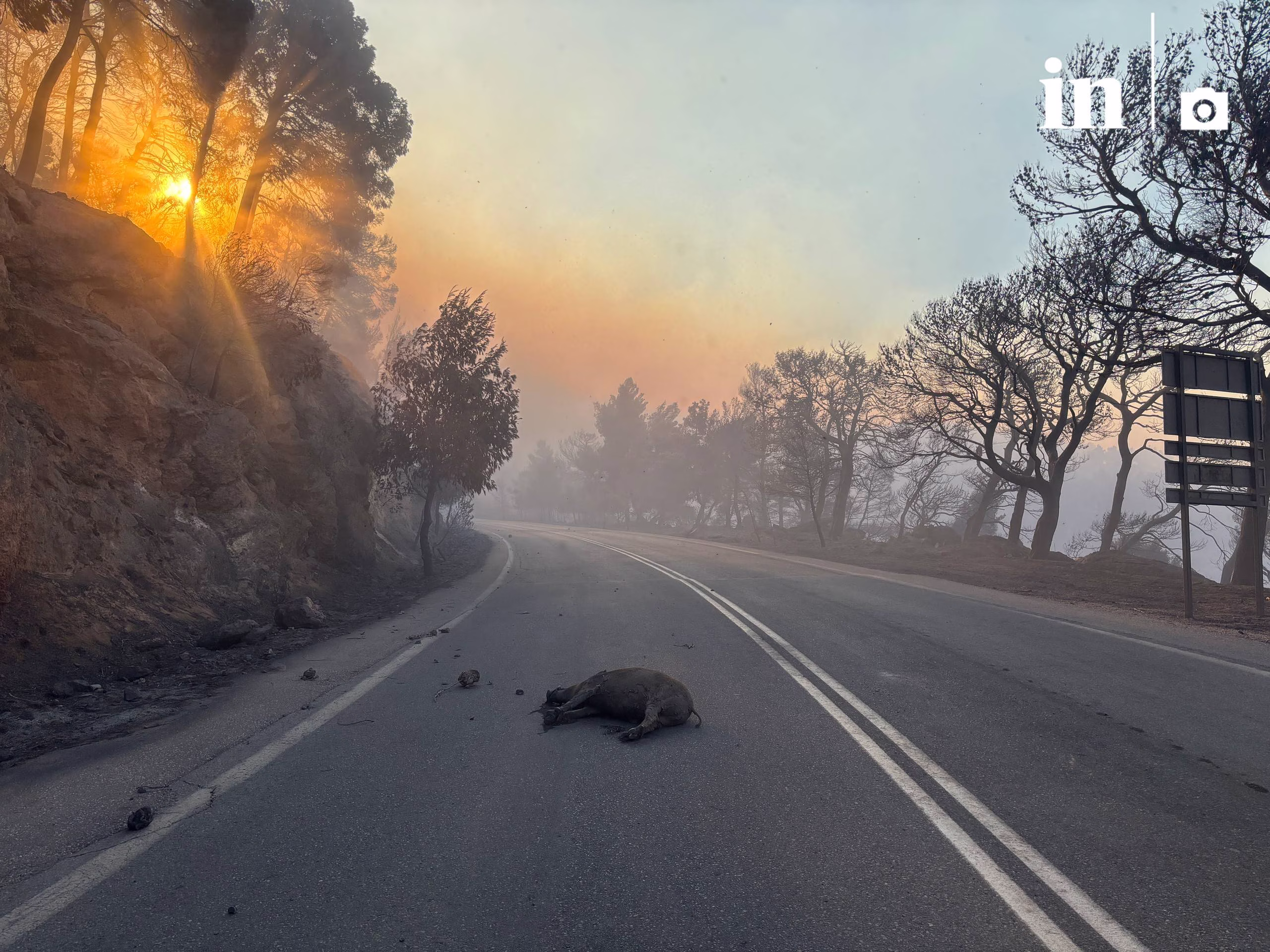 Τρία μέτωπα στο Πόρτο Γερμενό – Καίγονται σπίτια και εκκενώνονται οικισμοί – Δύσκολα μέτωπα σε Βοιωτία και Αίγιο | in.gr